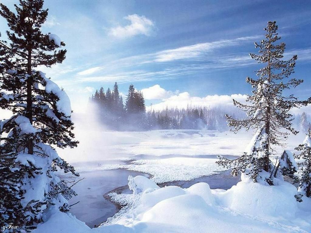 Magnifique paysage de neige